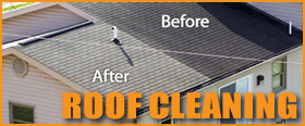chemicalroofcleaning